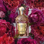 Guerlain Aqua Allegoria Forte Rosa Rossa woda perfumowana spray 125ml