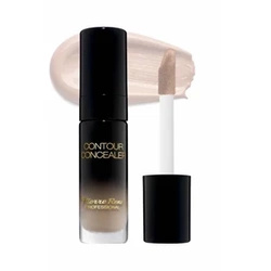 Pierre Rene Contour Concealer Korektor pod oczy 01 