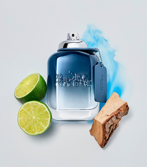 Coach Blue woda toaletowa spray 60ml