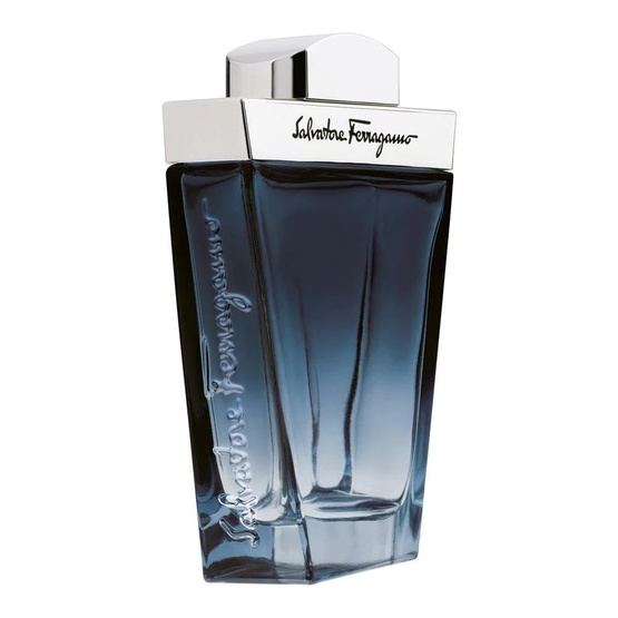 Salvatore Ferragamo Subtil Pour Homme woda toaletowa spray 100ml