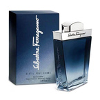 Salvatore Ferragamo Subtil Pour Homme woda toaletowa spray 100ml